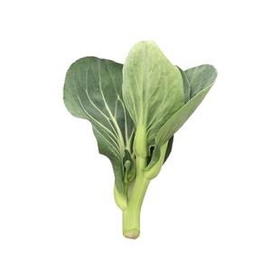 苏北农家新鲜蔬菜霜冻菜心油菜苔鲜嫩露天青菜苔菜尖菜花软糯甜