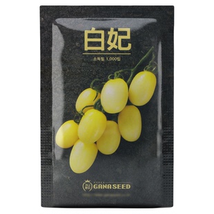 【超甜系列】口感型高产香甜正品日本进口黄妃小樱桃番茄种子籽孑
