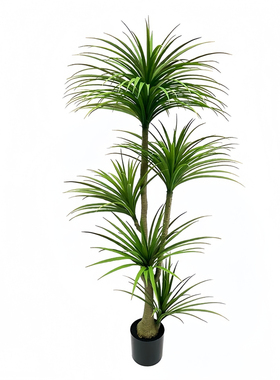 仿真绿植龙血树造景高端轻奢