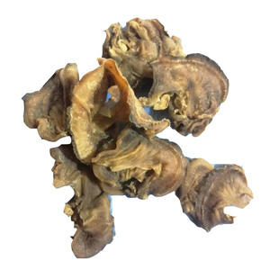 500g海鲜干货鲍鱼边扇贝裙边贝肉海鲜带子瑶柱干贝边蚬子边海木耳