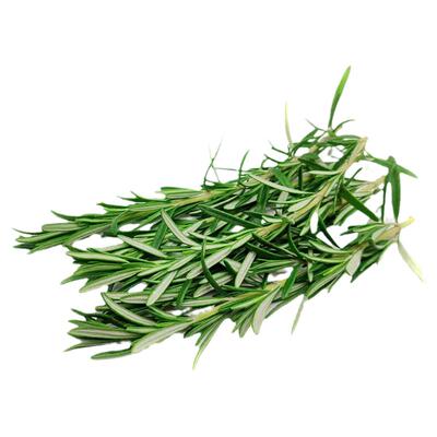 迷迭香新鲜食用玛丽西餐牛排烧烤