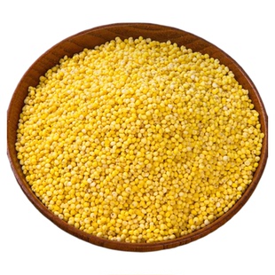 山西特产大黄米新米食用粘新鲜黏黄糯小米农家黍糜纯粘包粽子杂粮