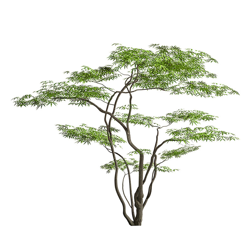 [入户氛围感]仿真绿植造景
