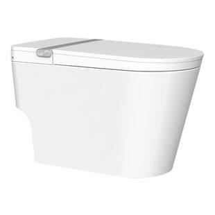 箭牌全自动家用智能马桶自动翻盖双泵带水箱零水压坐便器AKE1169