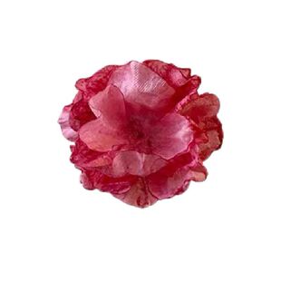山茶花发夹女侧边发饰2024新款干枯玫瑰花公主头小花朵小抓夹樱花