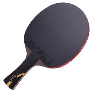 红双喜官方旗舰店 乒乓球拍单拍狂飚PRO专业级高阶狂飚龙底板直拍