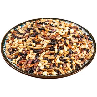 野农人五常七色糙米官方旗舰店低脂主食五谷杂粮粗粮5斤五色糙米