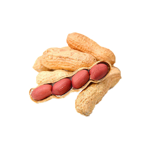 华一罗汉果花生种子小果花生手工剥壳红皮四粒红花生种籽生米孑子