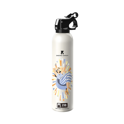 ins奶油风21B水基灭火器车载家用