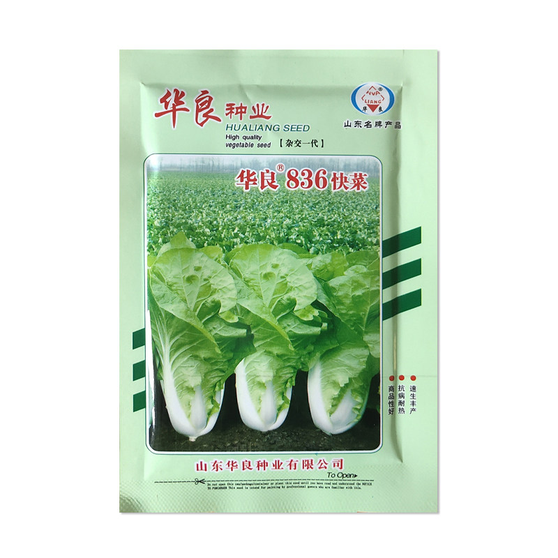 华良836快菜种子奶油白菜