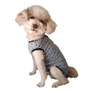 泰迪比熊母狗狗四脚背心春夏薄款纯棉弹力包肚子护肚防舔绝育奶服