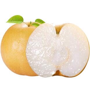 【秋月梨】正宗莱阳秋月大果新鲜水果黄梨多汁4.5斤新鲜脆甜多汁