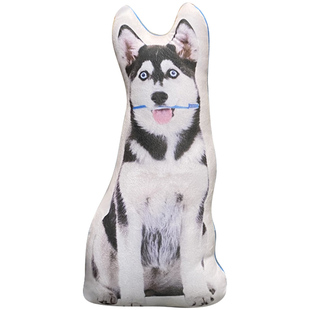 diy定制抱枕异形定做宠物枕头猫咪来图可印照片仿真靠枕无边丑猫