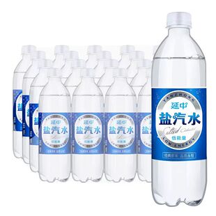 延中盐汽水600ml*20瓶整箱防暑降温汽水饮料0脂上海团购优惠
