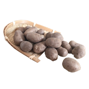 新鲜特大号山药豆正宗铁棍山药白玉豆特大果精品商用冰糖葫芦专用