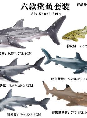22儿童仿真玩具实心海洋生物海豚锤头鲨鲨鲨鲨模型鳍黑豹纹鲨鱼巨