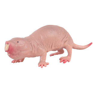 林畅模玩儿童仿真动物玩具裸鼹鼠模型神奇生物实心老鼠滨鼠鼹鼠