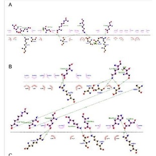 amber 生物分子计算 gromacs代算 分子动力学代算 分子动力学模拟