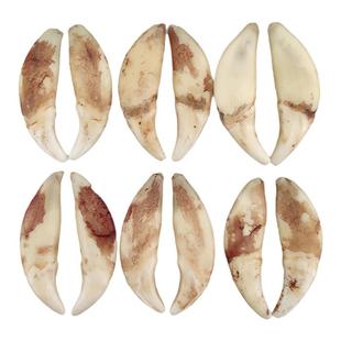 真黑狗牙吊坠男女藏獒项链宝宝狗牙齿挂件婴儿童狼牙情侣随身把玩