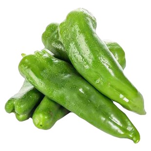 方震羊角椒种子羊角椒种苗青椒尖椒辣椒苗种子籽微辣新品四季蔬菜