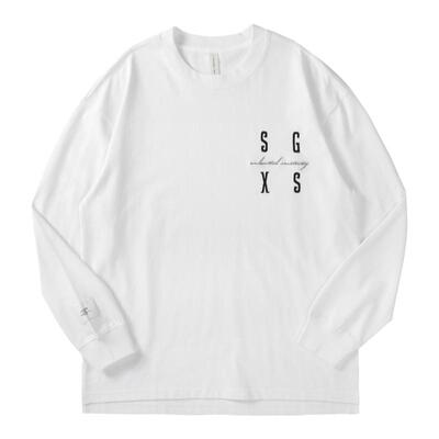 春季全棉长袖t恤打底衫