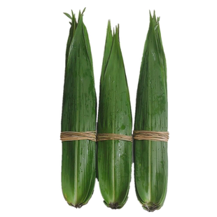 粽叶免邮新鲜天然纯野生粽子叶农家芦苇叶现摘大号芒竹箬叶100片