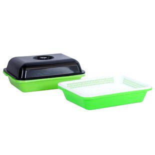 水培花生芽神器盒芽苗菜专用育苗盘无土栽培加大发花生豆苗种植盆