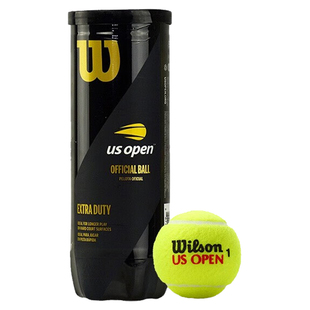 Wilson威尔胜网球美网法网有压专业比赛训练用球小黄人联名筒装球