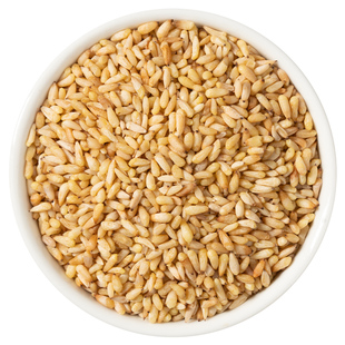 野生柏子仁中药材官方旗舰店正品 生柏籽仁柏子仁茶