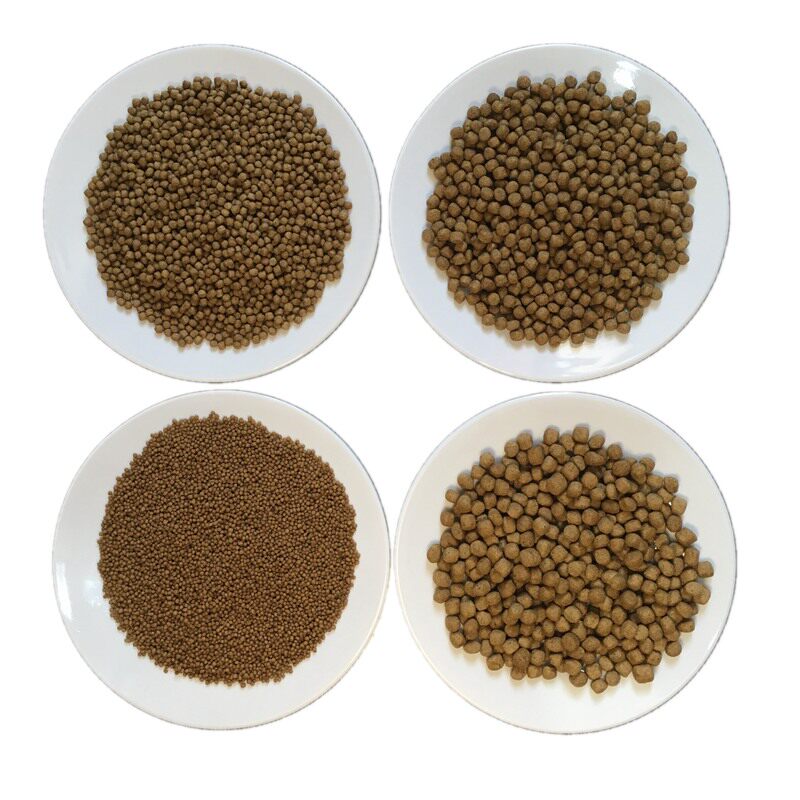 鲫鱼颗粒型淡水通用饲料5斤包邮