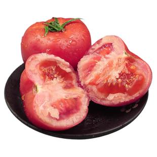 四川攀枝花罗旺斯沙瓤草莓心西红柿儿时的味道生吃大番茄农家蔬菜