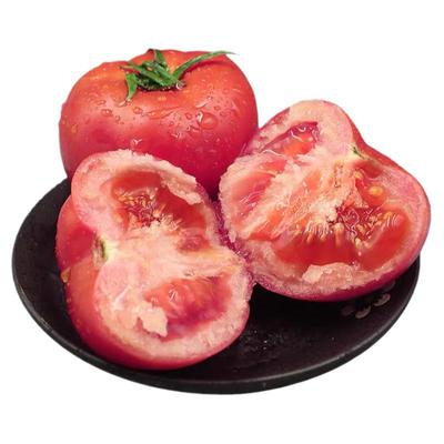 四川攀枝花罗旺斯沙瓤草莓心西红柿儿时的味道生吃大番茄农家蔬菜