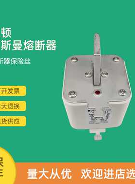 议价全新快速熔断器保险170M6889 170M6890 170M6891 170M6892D