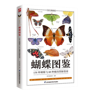 当当网 蝴蝶图鉴 158种蝴蝶与60种蛾的图解指南，近400张高清图片，细节牵线详解，从欣赏开始，了解蝴蝶壹号图编辑部 编 动物文教