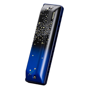 FEIFAN飞繁十二孔布鲁斯口琴初学者成人带低音FALA蓝调专业演奏级