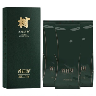 限购2泡 白茶之冠首日芽®太姥古树 2020年特级白毫银针福鼎白茶