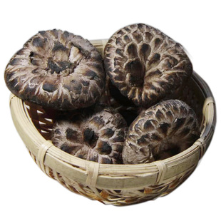 野生虎掌菌500g新鲜黑虎掌菌云南特产野生菌特级新鲜菌菇非獐子菌