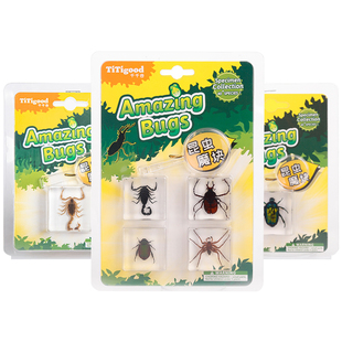 titigood千千谷昆虫魔块树脂标本真虫套装儿童科学认知玩具摆件