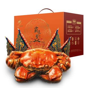 【活蟹】宿迁霸王蟹洪泽湖特大大闸蟹官方旗舰全公8-10只螃蟹礼盒