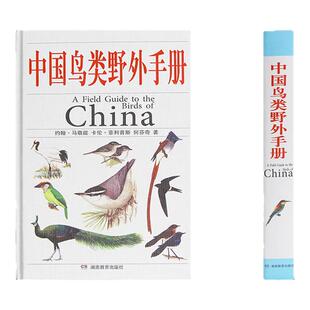 正版 《中国鸟类野外手册》 中国 爱鸟观鸟爱好者动物科学百科畅销专业工具书 湖南教育出版社