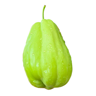 佛手瓜苗秧瓜种秧苗带芽种子白种苗瓜苗发芽盆栽扶手瓜种植苗菜苗