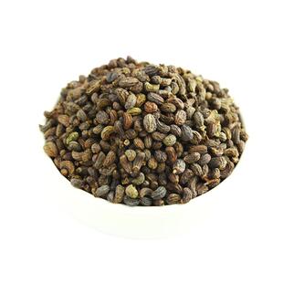 野生女贞子中药材500g女贞子泡水正品另售女贞子旱莲草组合何首乌