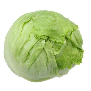 生菜种子结球球形生菜种籽水培圆蔬菜四季春季菜籽蔬菜种孑秋孔雀