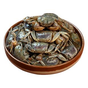 醉蟹白玉蟹生腌即食罐装小螃蟹海鲜活腌制舟山咸呛蟹宁波特产蟛蜞