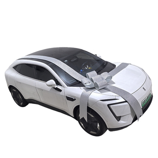 汽车交车蝴蝶结展厅布置装饰阿维塔闪粉金银色AVATR蝴蝶结大红花