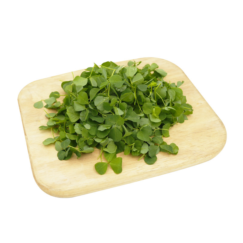 【槿馐】新鲜草头500g上海本地农家三叶菜金花菜野菜新鲜蔬菜