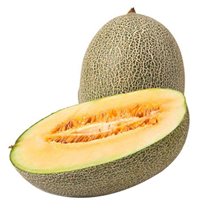 蔬菜网纹大全南方四季哈密瓜种子