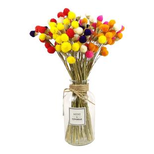 云南干花草莓果干花手工DIY网红小花束百搭小清新插花家居装饰