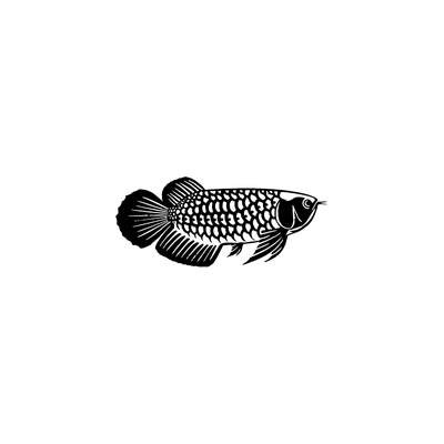 TLP镂空车贴 龙鱼金龙鱼银龙鱼花鸟鱼虫贴纸鱼缸水族馆贴纸防水贴