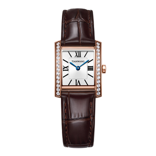 天王表尚·SHINE系列女表复古真皮女士小方表 生日礼物